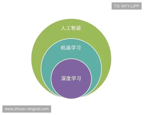 体育竞技数据解码：基于动作细节与策略优化的技术分析探索